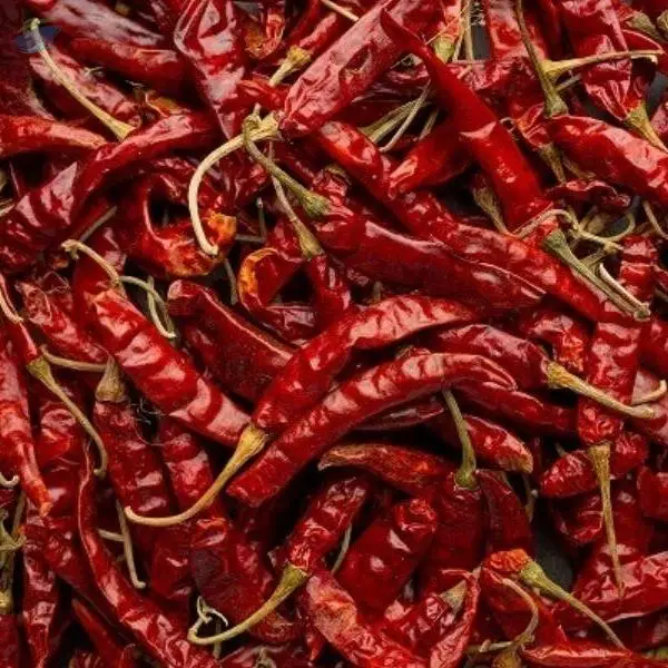 Red Chilli Dry
