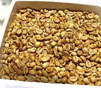 Robusta Green Coffee Beans Grade 1