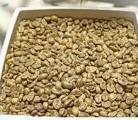 Arabica Green Coffee Beans Grade 1