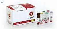 Seegene Covid 19 RT PCR Test Kit