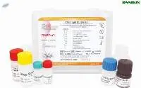 TRUSTwell CHIK IgM ELISA Kit