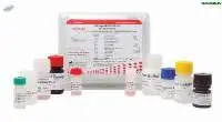 TRUSTwell HIV Ag-Ab ELISA Kit