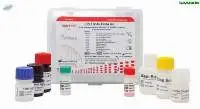 TRUSTwell HIV 1+2 Ab ELISA Kit