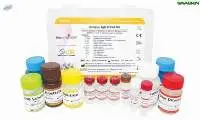 TRUSTwell Dengue IgG ELISA Kit