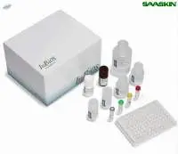 CHIKjj Detect IgG ELISA Kit