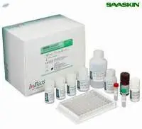 CHIKjj Detect IgM ELISA Kit