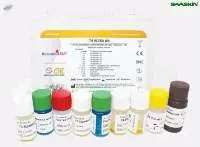 RecombiLISA Total T4 ELISA Kit