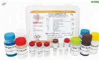 TRUSTwell Dengue IgM ELISA Kit