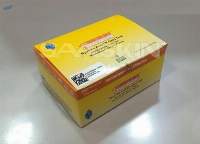First Response SyphiliS Anti-TP Card Test