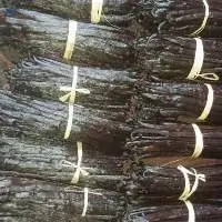 Vanilla Bean