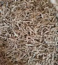Dried Anchovy & Salted Seafood