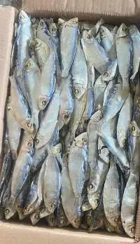 Dried Salted Big Eye Herring
