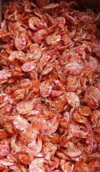 Dried Salted Vanamese Shrimp