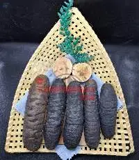 Dried Sand Sea Cucumber