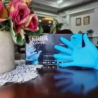 Terra Nitrile Examination Gloves