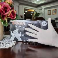 Terra Latex Examination Gloves