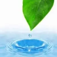 Sush-L (Liquid Detergent Concentrate)