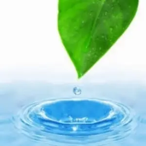 Sush-L (Liquid Detergent Concentrate)