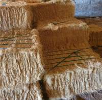 Coco Fiber
