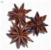 Star Anise