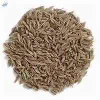 Cumin