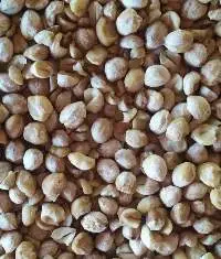 Candlenut
