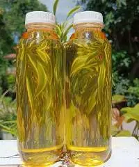 Candlenut Oil