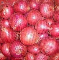 Red Onion