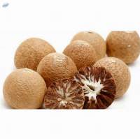 Betel Nut