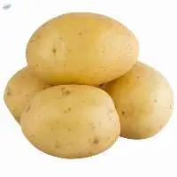 High Quality 100% Organic Fresh Big Potato