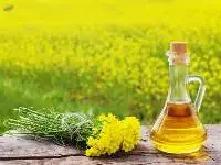Mustard Oil