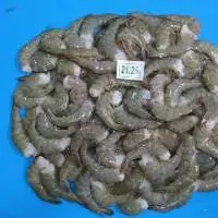 Hoso Black Tiger Shrimps