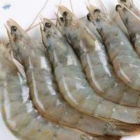Hoso Black Tiger Shrimp
