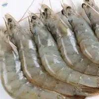 Hoso Black Tiger Shrimp
