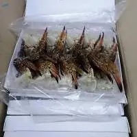 Frozen Cut Crab