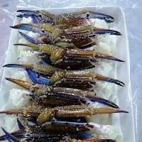 Frozen Blue Crab