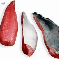 Frozen Tuna Saku Loins Chunk
