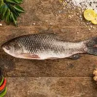 Rohu Fish