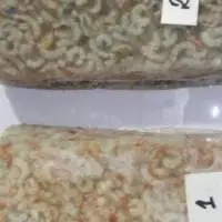 Frozen Karikkadi Poovalan (kkd)