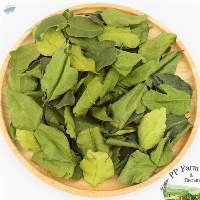 Kaffir Lime Leaf