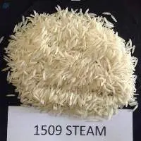 1509 Basmati Rice
