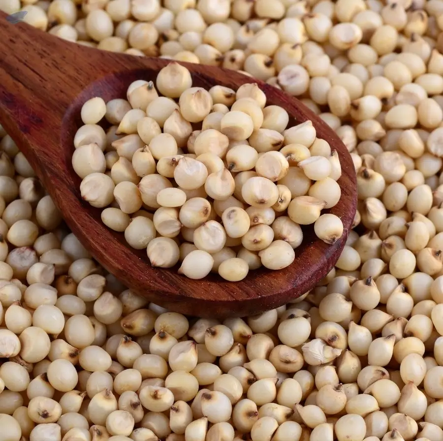Sorghum Millets