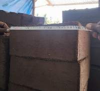 Coconut Peat