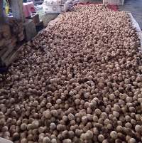 Straw Mushroom, Canned Poku Black Whole