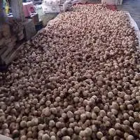 Straw Mushroom, Canned Poku Black Whole