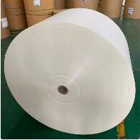 PE Coated Paper