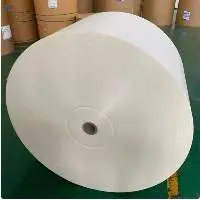 PE Coated Paper