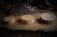 Kauri Wood Blanks