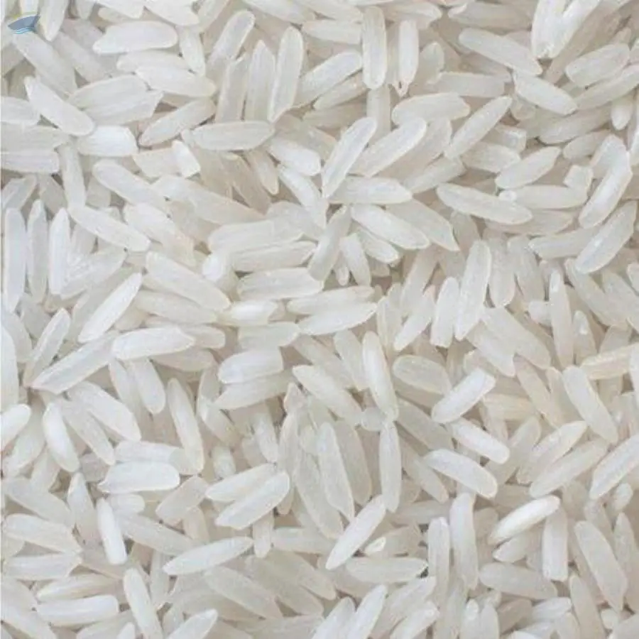 Minikit Rice