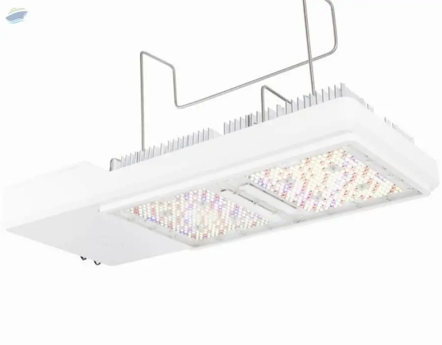Growing Lights